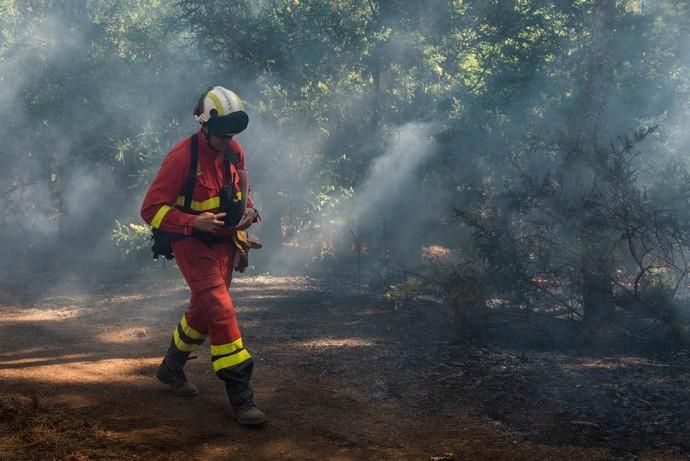 La UME realiza prácticas de prevención de incendios en Gran Canaria