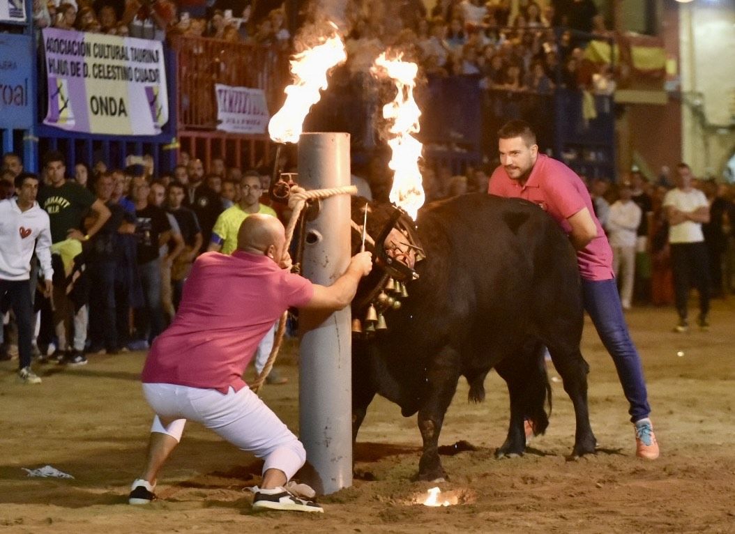 Las fotos del intenso miércoles de 'bous al carrer' de la Fira d'Onda, con visita de Bruno Soriano