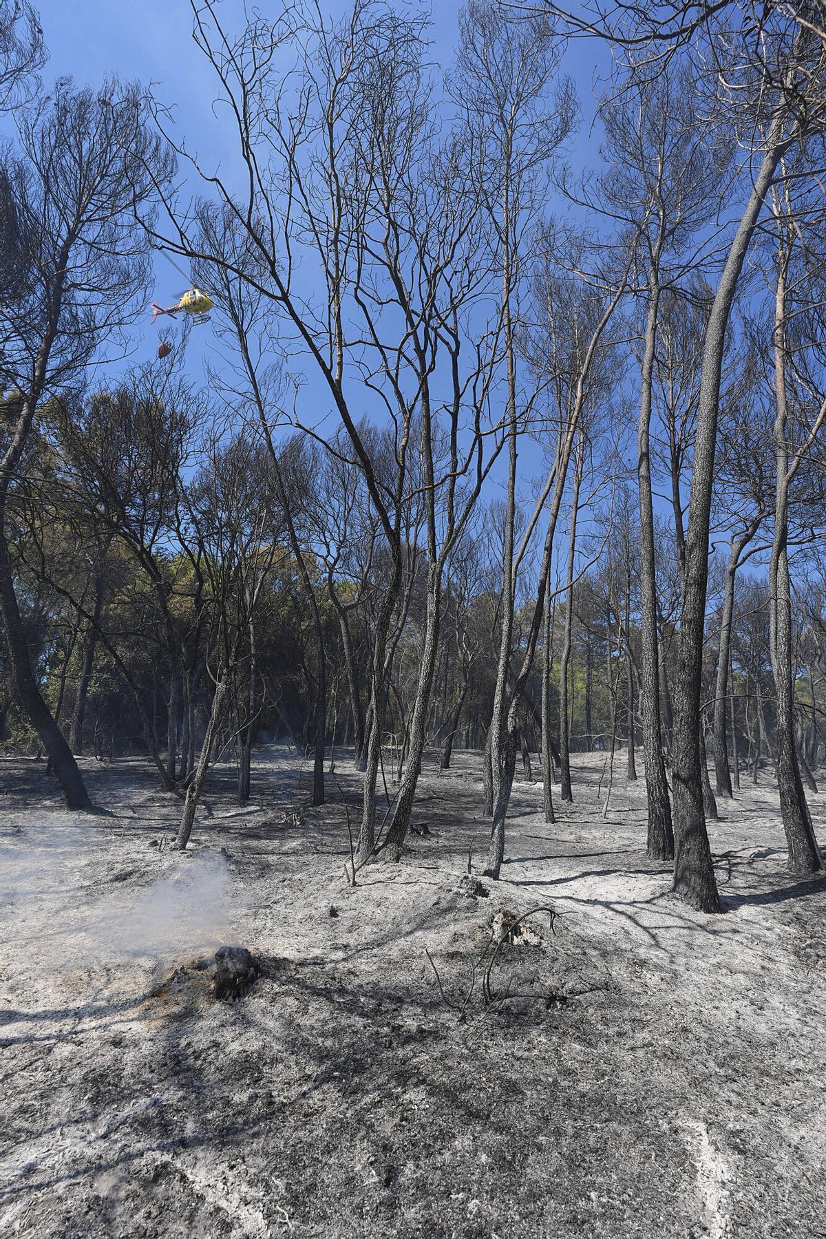Les imatges de l'incendi de Vilavenut Les imatges de l'incendi de Vilavenut