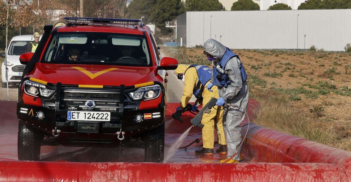 Catalunya declara l’emergència per pesta porcina per agilitzar les ajudes al sector