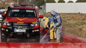 Catalunya declara l’emergència per pesta porcina per agilitzar les ajudes al sector