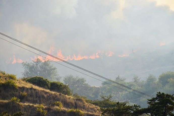 Incendio en la zona de cumbre de Gran Canaria