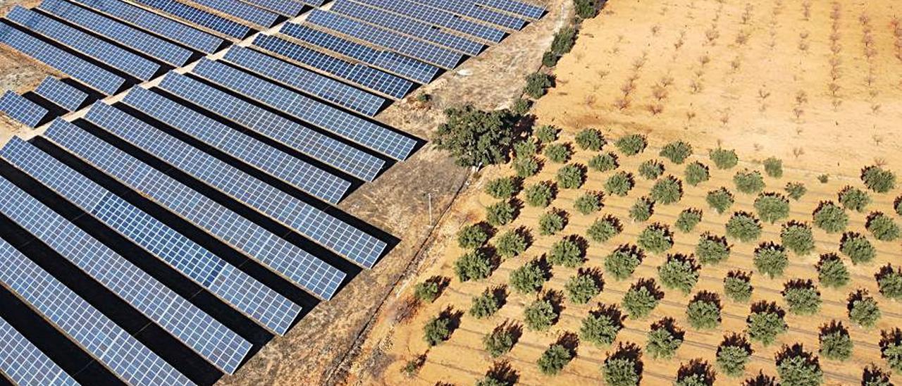 Las plantas solares también amenazan los cultivos. | ÁXEL ÁLVAREZ