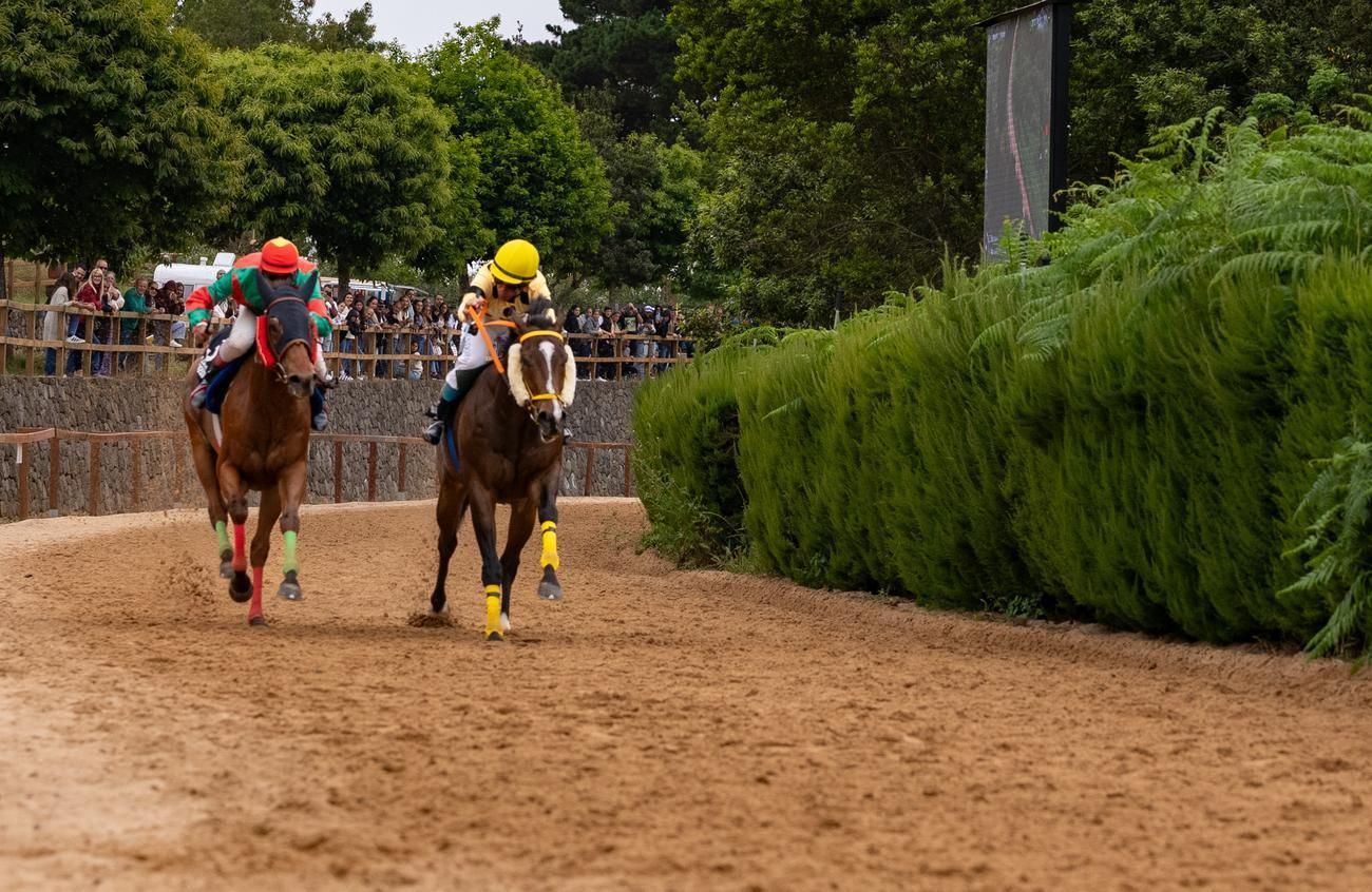 Carrera de caballos III Copa San Vicente Ferrer en Valleseco