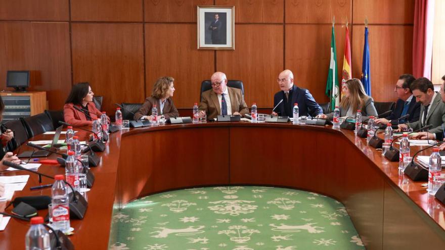 Reunión de la Diputación Permanente del Parlamento de Andalucía, este miércoles.