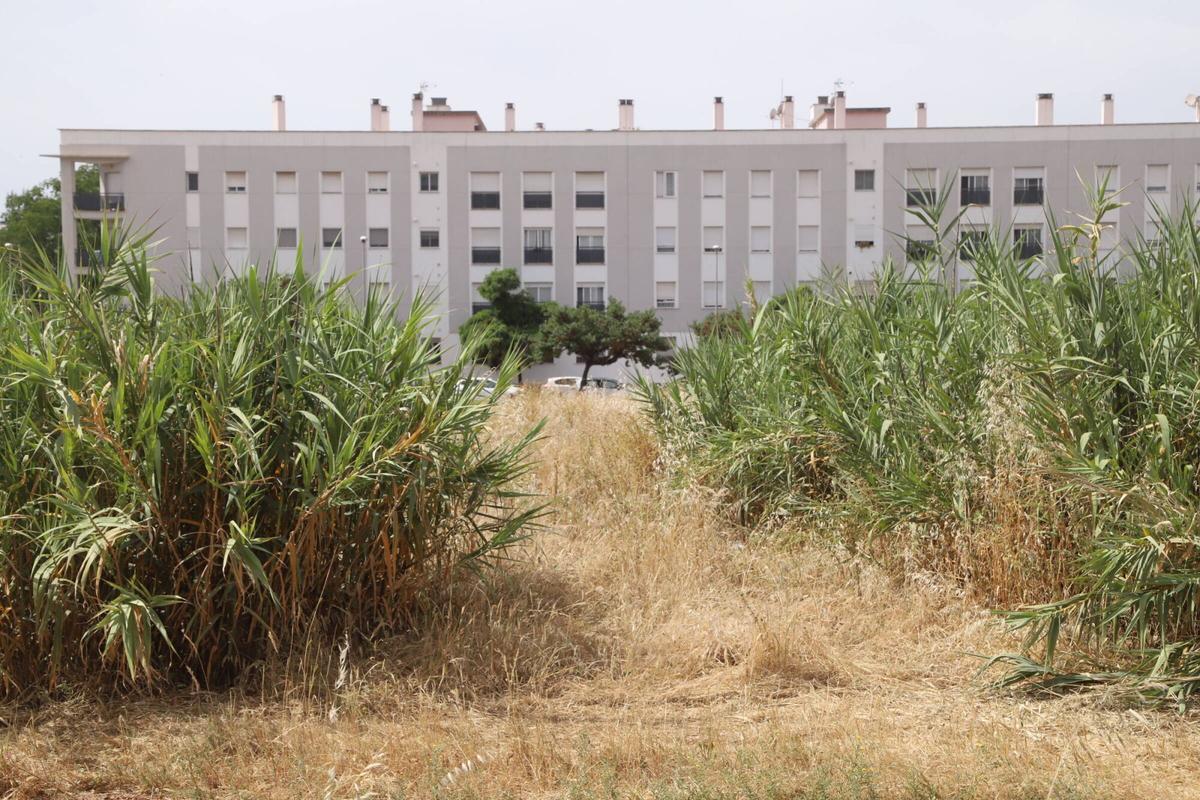 A.J.González Córdoba Solares Fuente de la Salud y Huerta de Santa Isabel