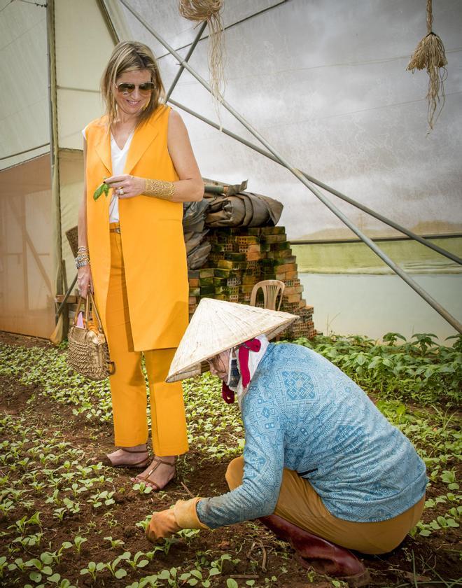 Máxima de Holanda con look de Zara