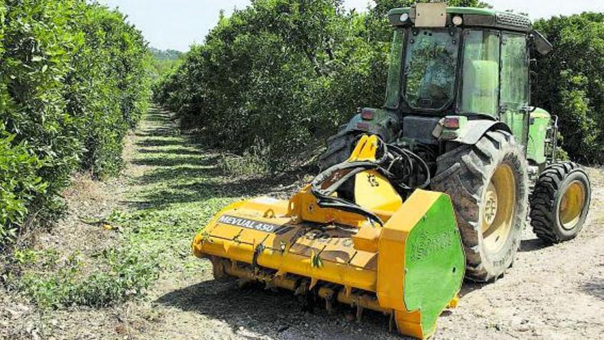 La primera tarea para elaborar el alimento es tritutar los restos de poda de los cítricos | EMV