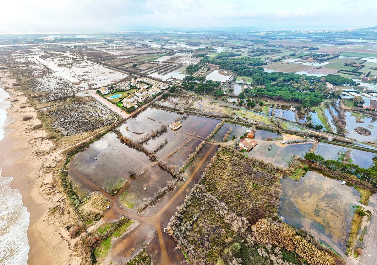 Danys als camps a Torroella de Montgrí pel temporal Harry