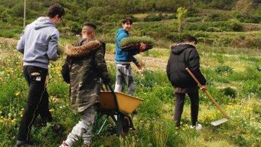 Una de les principals ocupacions són les tasques de jardineria