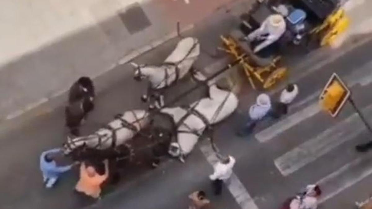 Un caballo en el suelo, caído al parecer por agotamiento, en esta Feria de Málaga.