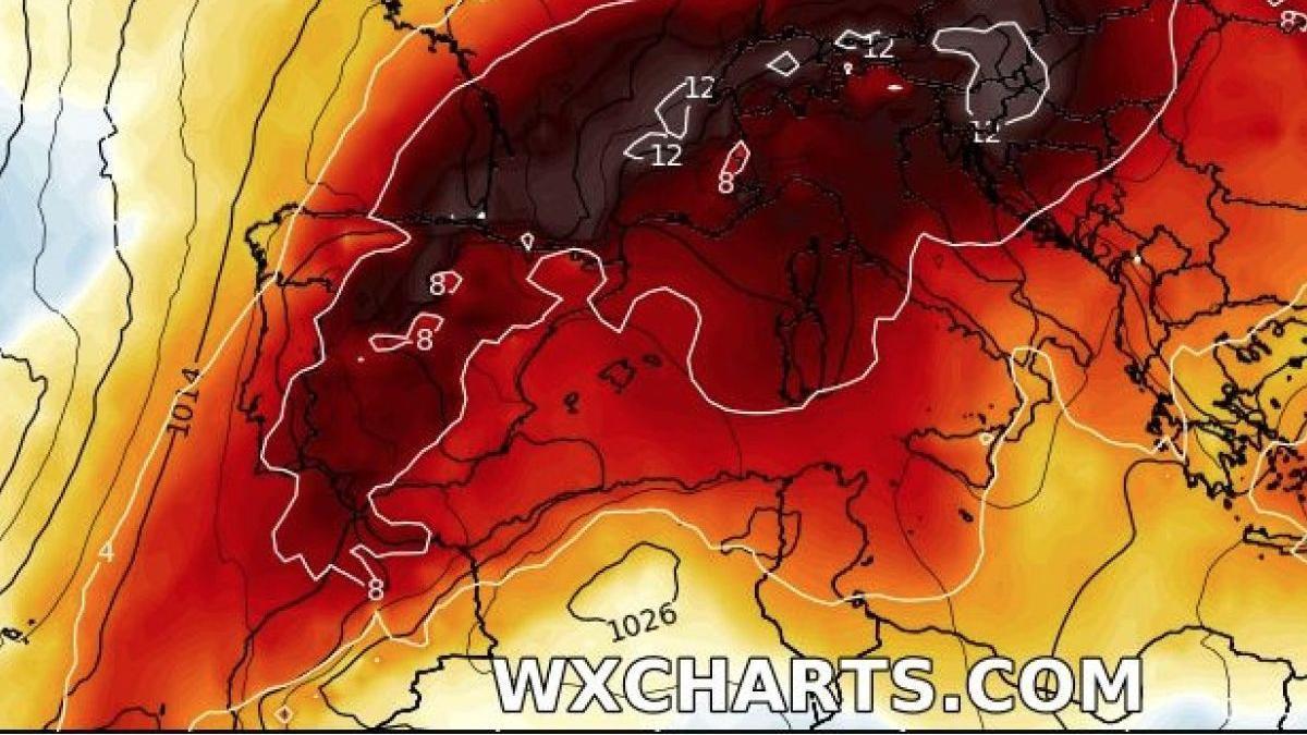 Mapa de anomalía de la temperatura que registra entre 10 y 12 grados de desajuste para octubre y noviembre