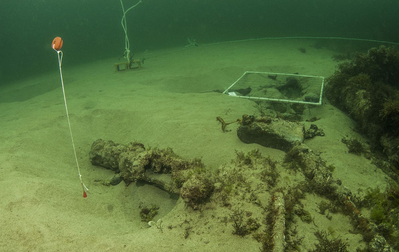 La nueva  joya de la Galicia submarina