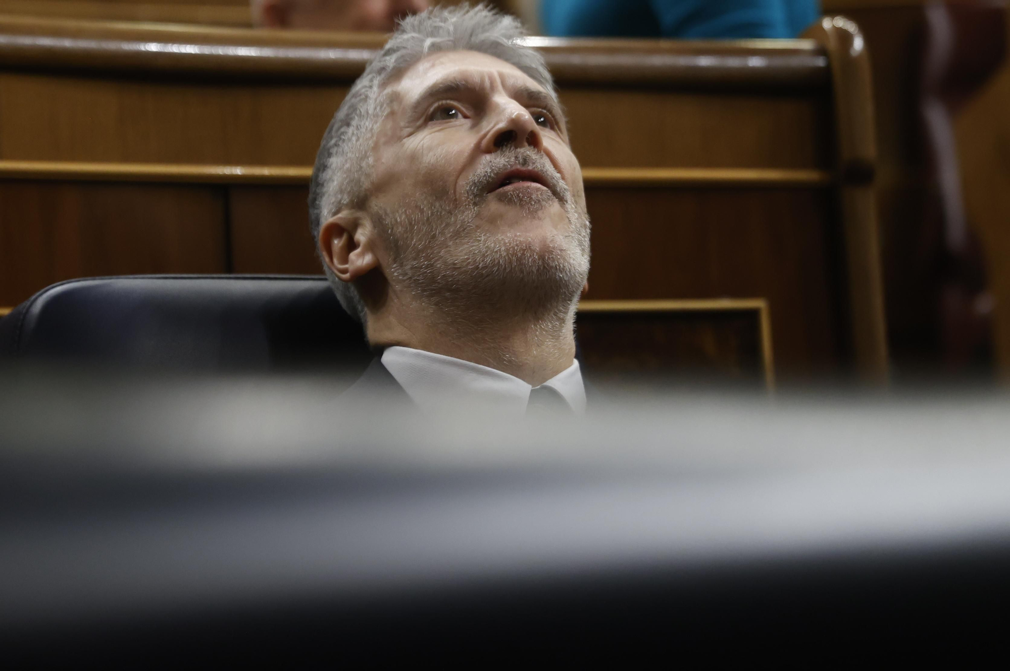 Fernando Grande-Marlaska, en el Congreso de los Diputados.