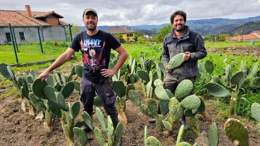 Por la izquierda, Edmundo Ortuño y José Joaquín Méndez, en su huerta de Villaviciosa. | V. Alonso