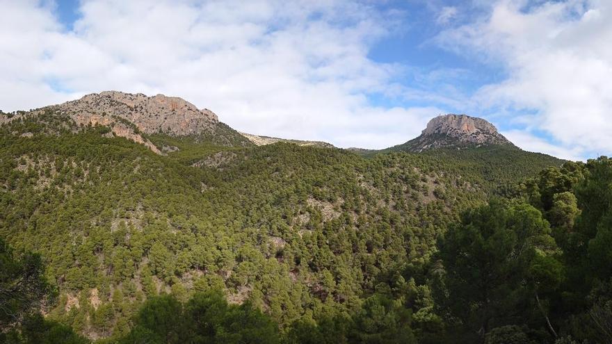 Sierra Espuña refuerza su protección con una inversión de 10,5 millones y 105 actuaciones hasta 2032
