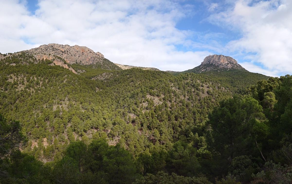 Barranco de Enmedio (Sierra Espuña)