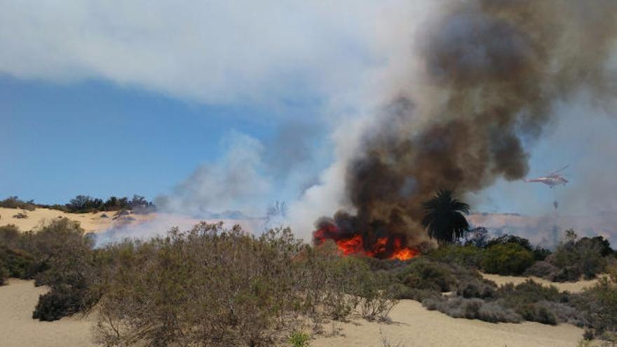 Las llamas se propagaron por el viento y el ambiente seco entre los arbustos y las palmeras, obligando a la intervención del helicóptero, en la imagen, en el incendio de las dunas.