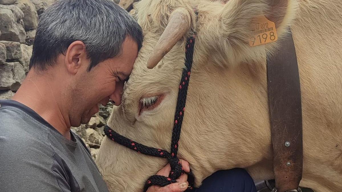 Joel Pascual amb la seua vaca Canela, protagonista del film.
