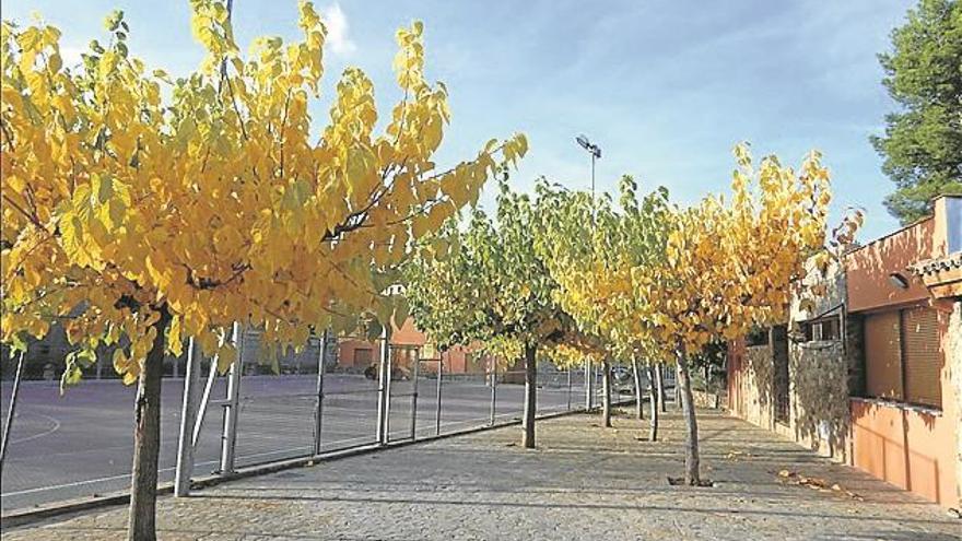 Continúan las mejoras en las instalaciones deportivas