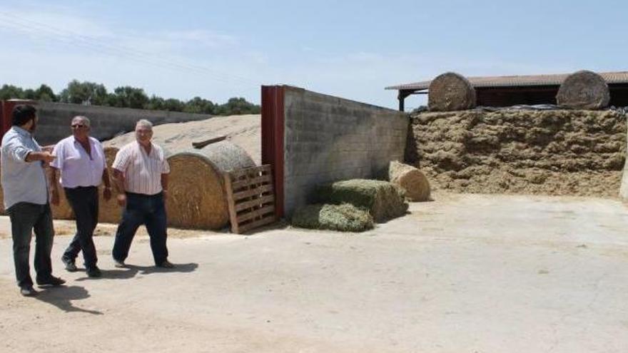 Instante de la visita de ayer a la finca de Can Dalmau.