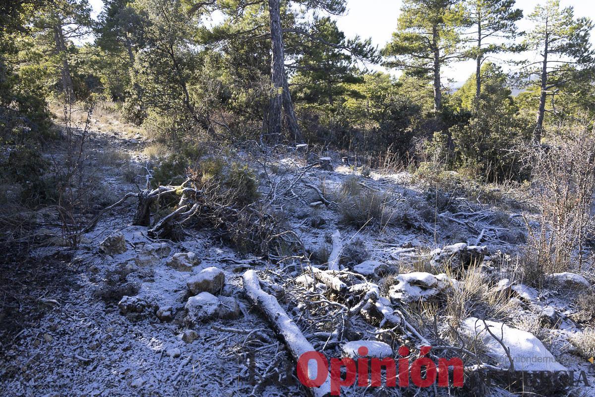 Nieve en la Región de Murcia Nieve en la Región de Murcia