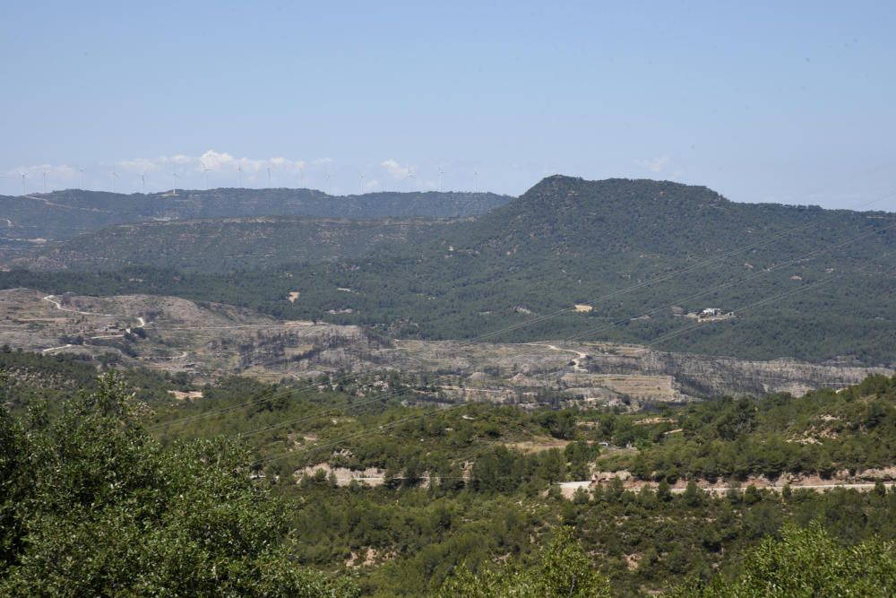 La zona afectada pel foc d'Òdena, un any després