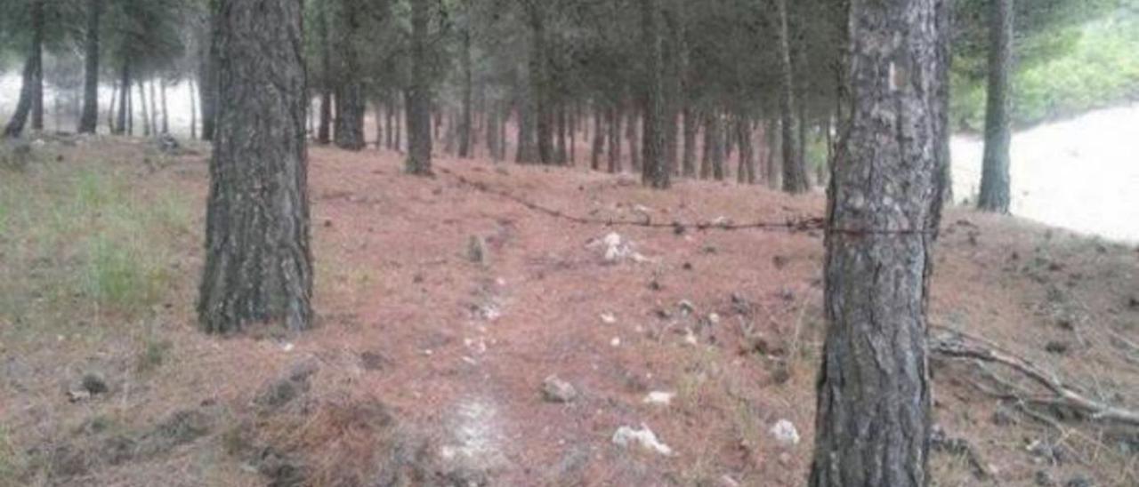 «Ponen trampas contra los ciclistas porque se creen los dueños del monte» | FOTOS ACIMCOVA