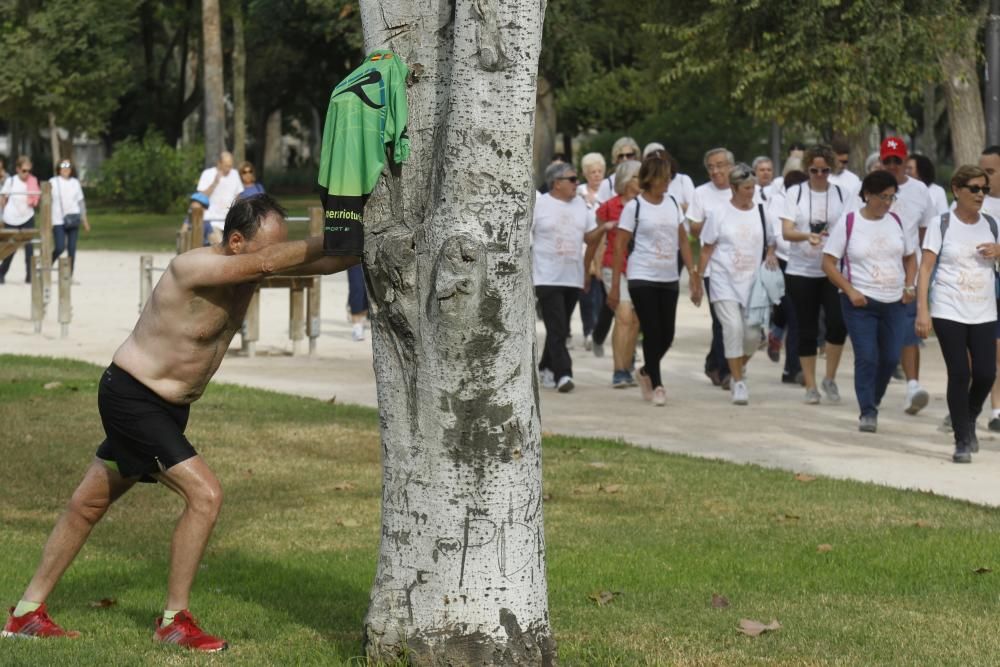 Paseo saludable por el Día Internacional de las Personas Mayores