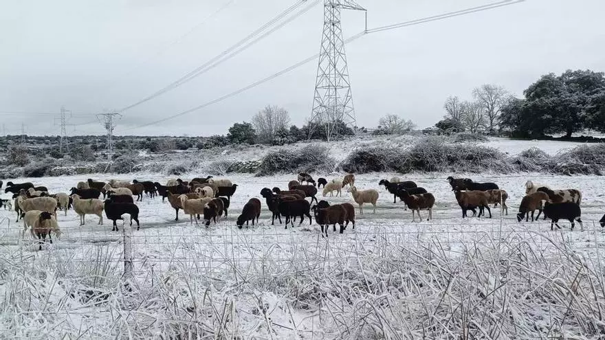 VÍDEO | La nieve cubre los pueblos de Sayago