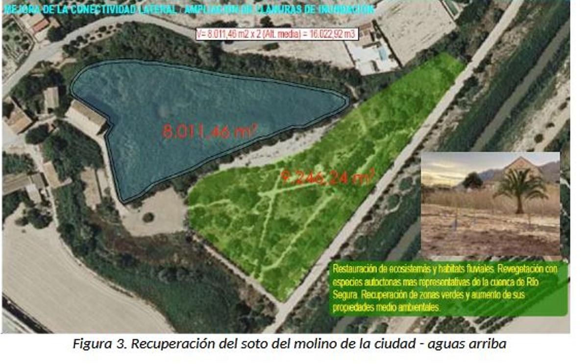 Esquema de la recuperación planteada del soto del Molino de la Ciudad y su laguna