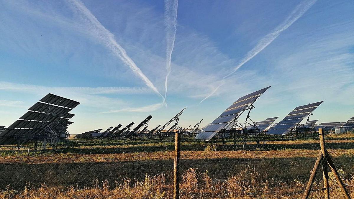 Paneles solares de una de las plantas en funcionamiento del municipio de Toro.