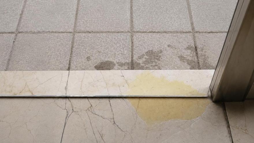 Hartazgo de los vecinos de una finca de Santa Catalina por los orines de perros: "Mi fachada no es un pipicán"