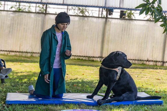 Terapia a cuatro patas: Wailo conquista corazones y mejora vidas