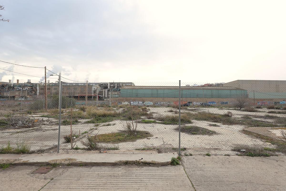 REPORTAJE TERRENOS ACERALIA DONDE SE VAN A CONSTRUIR PISOS