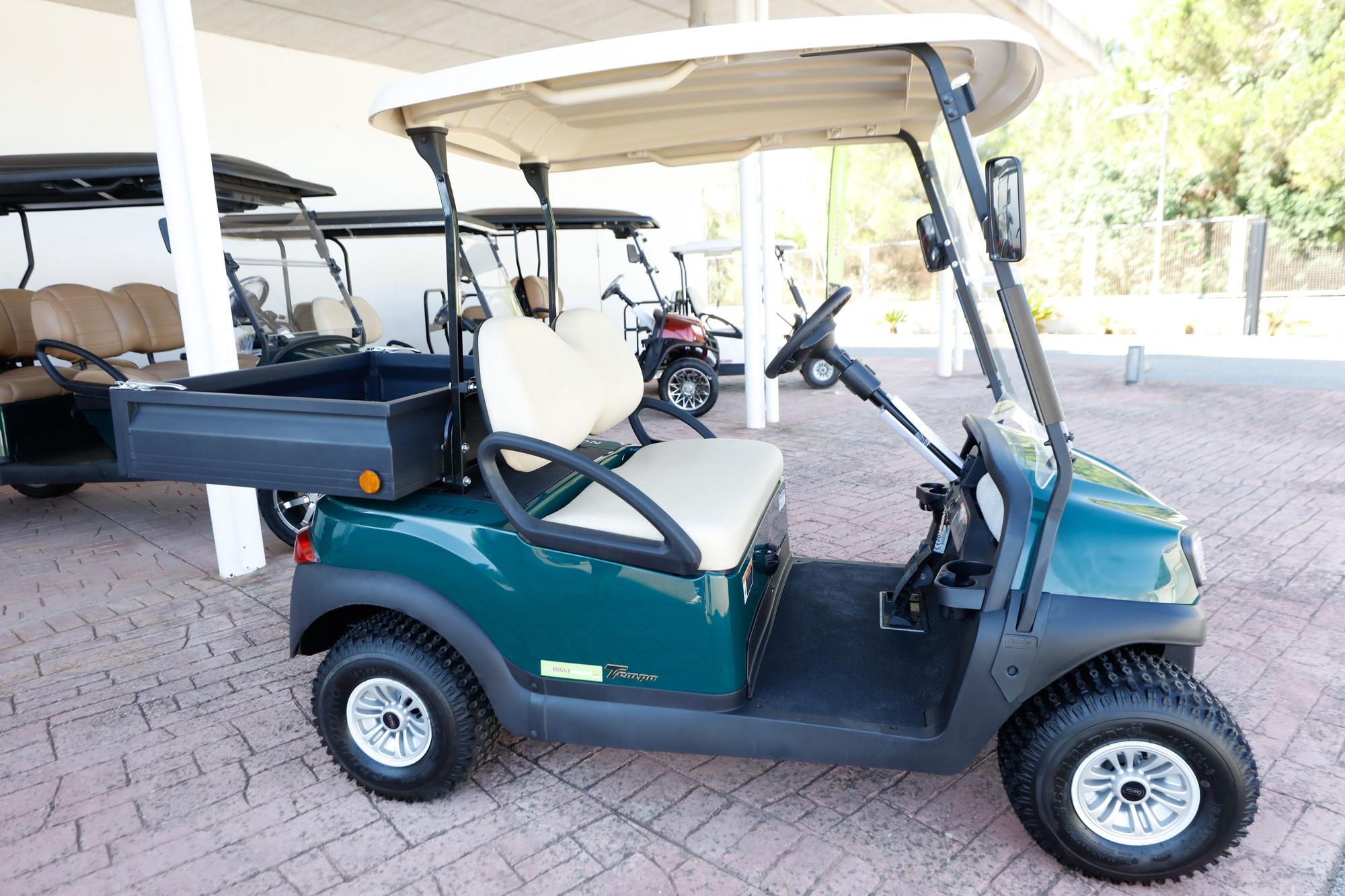 Buggies personalizados en Ibiza