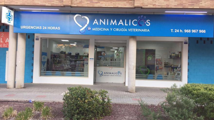 Animalicos, medicina y cirugía veterinaria