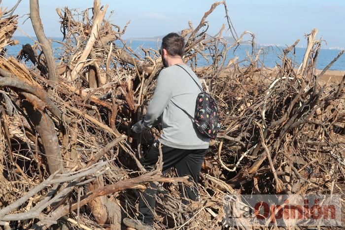 SOS Mar Menor retira dos toneladas de basura