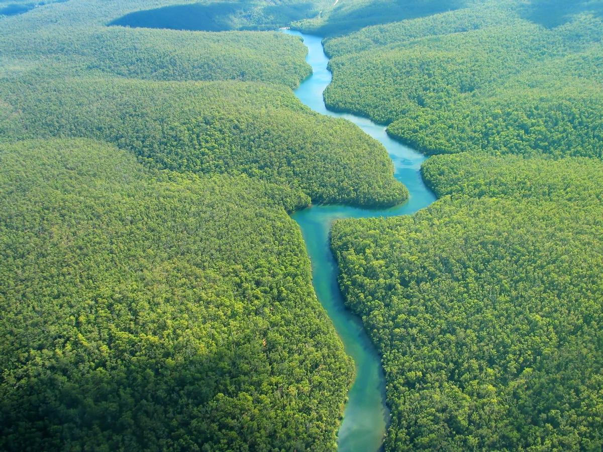 Río Amazonas