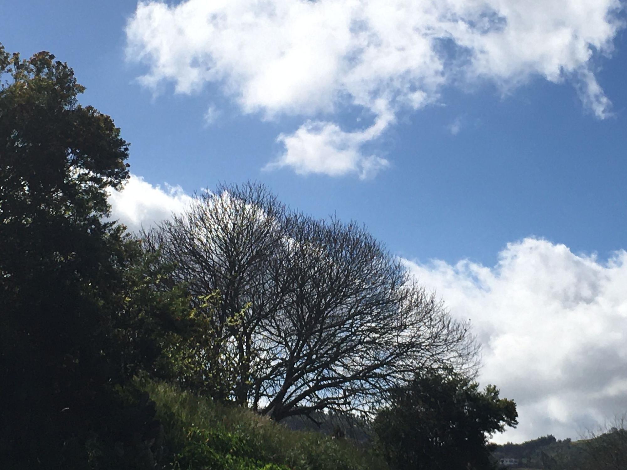 El tiempo en Valleseco, Gran Canaria (19/03/2021)