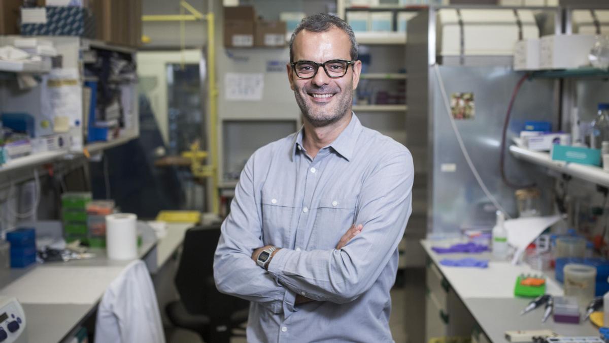 doctor Salvador Aznar-Benitah, investigador del IRB Barcelona que ha liderado un ensayo que demuestra que el ácido pálmitico favorece la expansión del cáncer. FOTO EL PERIÓDICO