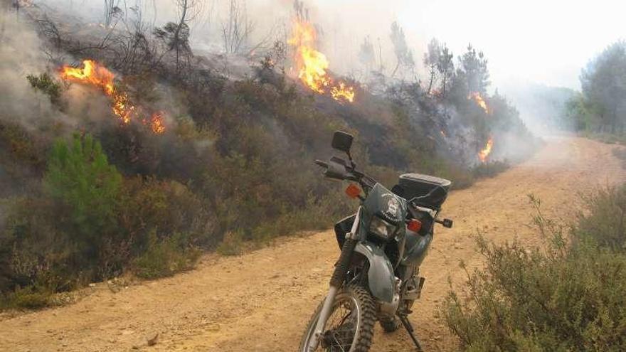 La Guardia Civil ha ayudado a apagar numerosos incendios forestales.