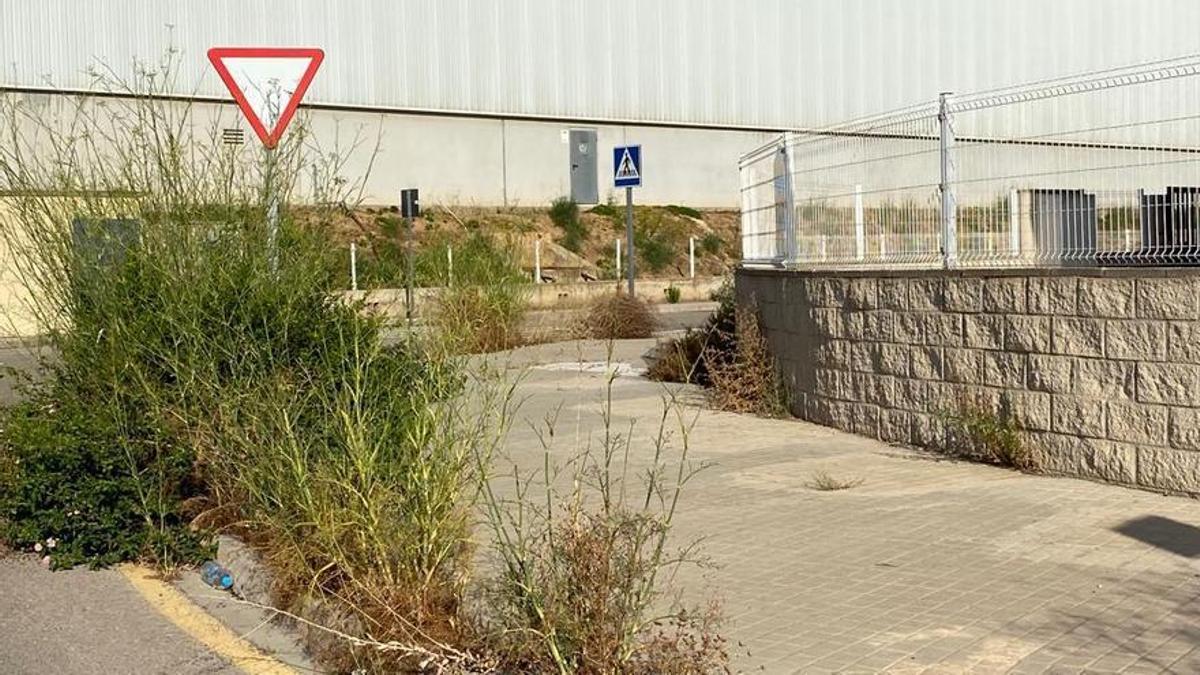Aemon denuncia falta de mantenimiento y jardinería en las áreas industriales.
