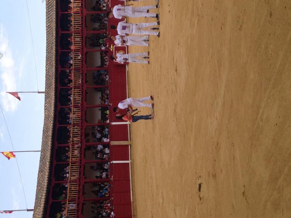 Fiestas Toro- concurso de jóvenes cortadores