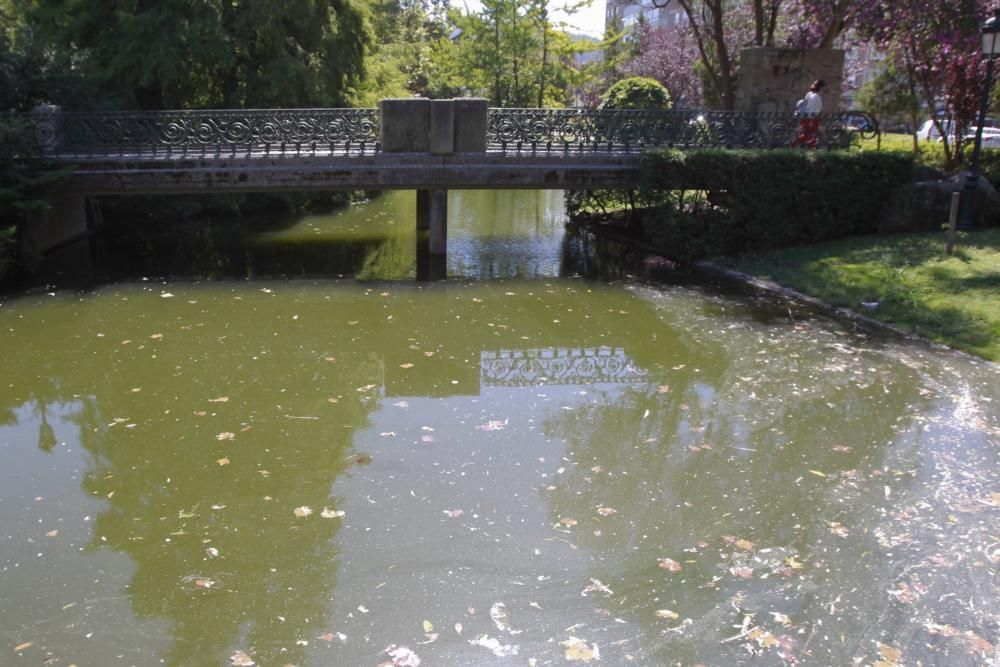 El estanque de Castrelos se vacía para una desinfección - Los trabajos arrancan el día 30 y durarán una semana