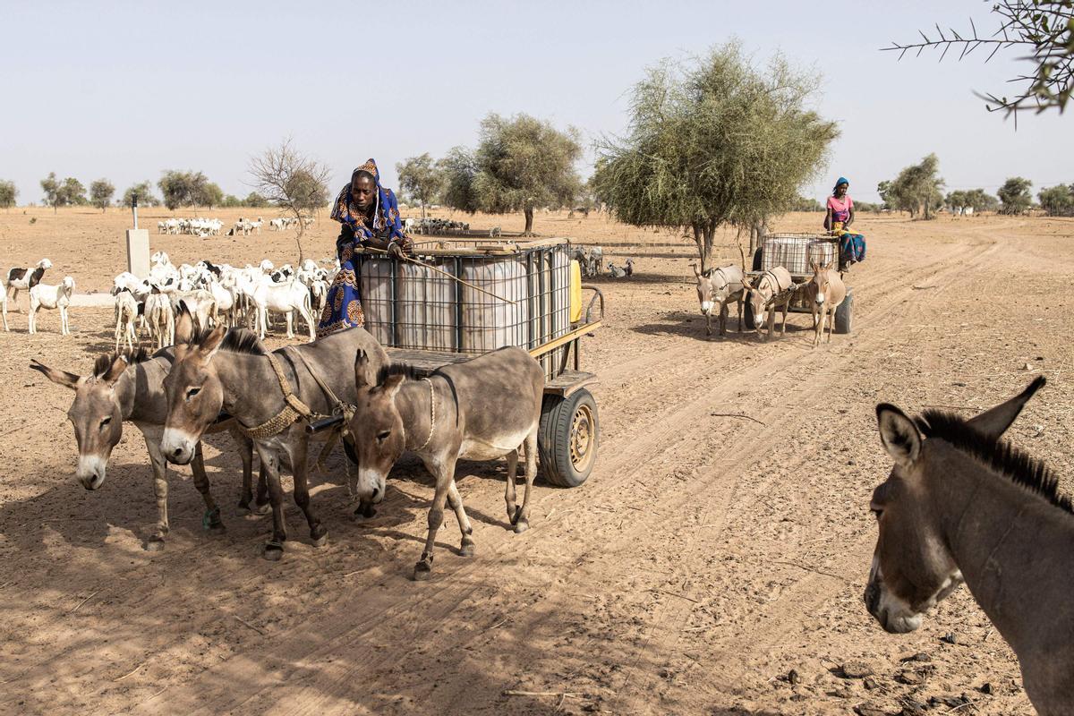 Calor extremo en la región de Matam, en el noroeste de Senegal