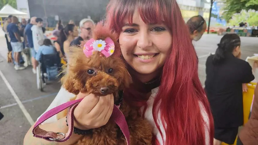 Caniche toy, bichón maltés, pastores australianos, mastines y mucho más: así fue la pasarela canina de Grado