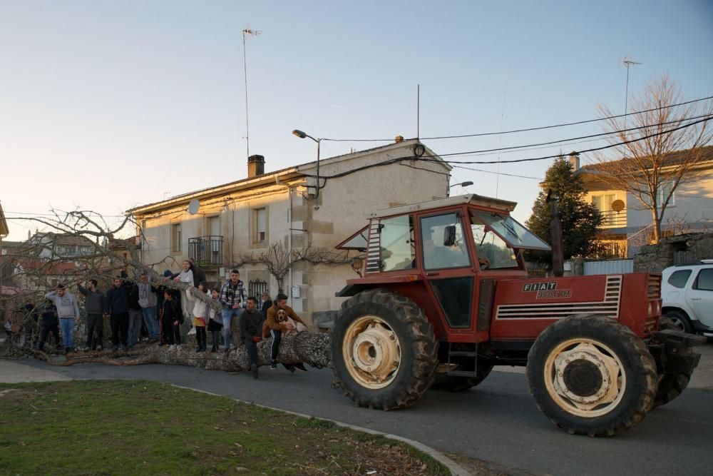 Brandilanes celebra San Amaro