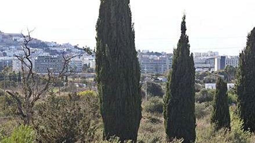 Parte del terreno de Jesús, con la vista de Dalt Vila al fondo, en la que se proyecta el nuevo hospital.