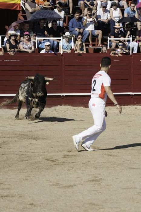 Concurso de cortes en la Plaza de Toros de Benaven